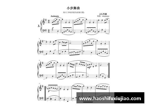 巴赫钢琴：音乐巨匠的钢琴之声
